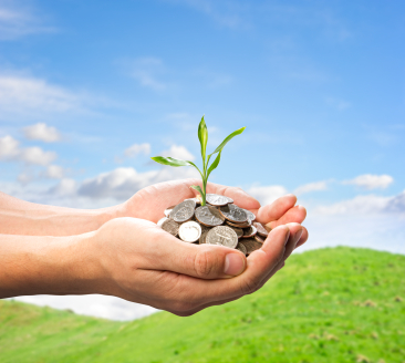 Cultivating Success